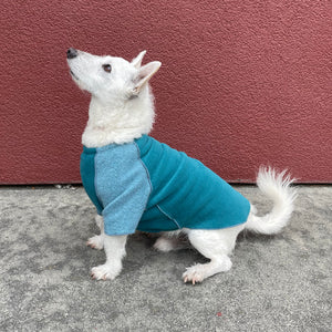 
                
                    Load image into Gallery viewer, Polar fleece dog jacket. Sustainable pet apparel made in the USA. Shop eco-friendly pet clothing for dogs. *aquamarine
                
            